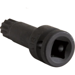 Force M18 X 1/2" Drive Spline Impact Socket - 24807818 5 Force M18 X 1/2" Drive Spline Impact Socket - 24807818 -Hand Tool Shop 24807818 5 02794.1697454984