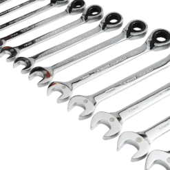 Renegade Industrial 12 Piece Metric Forward & Reverse Ratchet Spanners Set - RIGW12PM -Hand Tool Shop rigw12pm 7 1 10453.1697456627